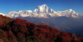 Ghorepani Poonhill trek